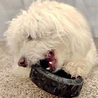 Kong Tires Dog Toy